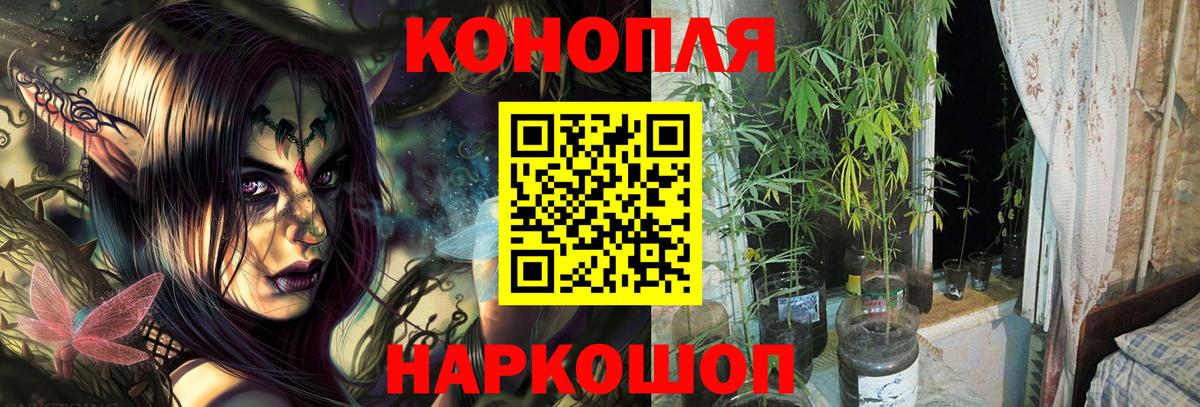 Шишки марихуана Ganja Клин